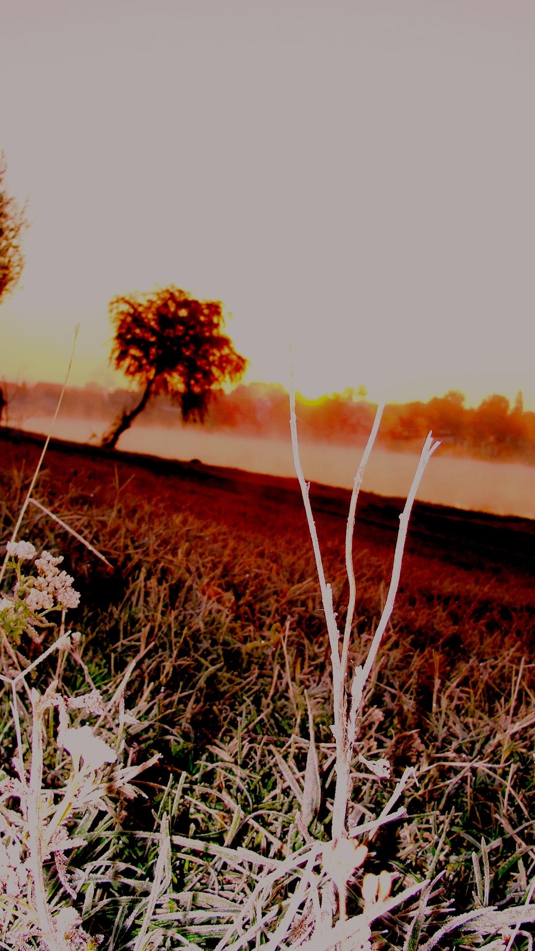 Moara Vlasiei 2 6 - 6 oct. - dsc02708.JPG